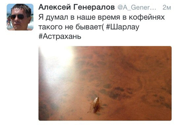 images novosti2 Proisshestviya 4321 Неприятный бонус: в астраханском кафе завелись тараканы