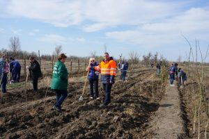 2 Астраханские железнодорожники высадили в апреле около 4 тыс. деревьев