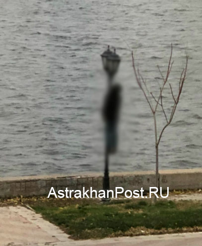 1 48 Астраханец погиб на столбе напротив здания налоговой