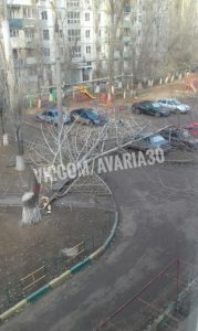 1 8 В Астрахани упавшее дерево придавило несколько машин