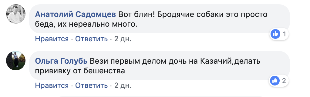 экрана 2019 02 10 в 20.56.56 Бродячая собака вновь набросилась на ребенка в Астрахани