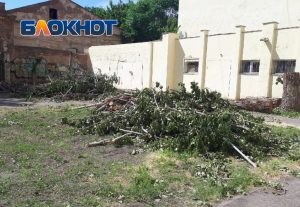 1а 28 В Астрахани во дворе школы вырубили деревья