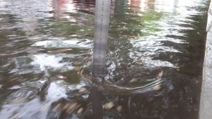 1г Ливень прошел в Астрахани: фото затопленных улиц