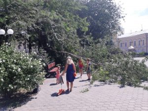 1 83 В центре Астрахани у детской площадки упало дерево