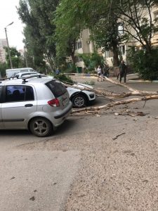 1 7 В Астрахани из-за сильного ветра дерево упало на машины