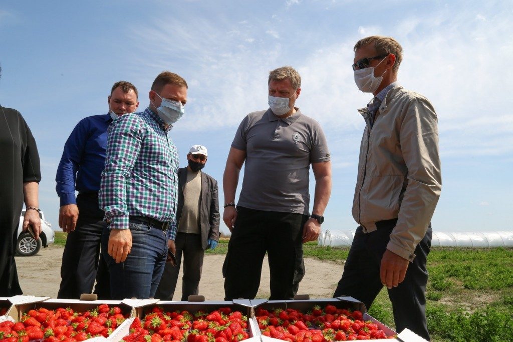 2y7a1403 1 Астраханские аграрии стабильно добиваются успеха в сельскохозяйственной отрасли