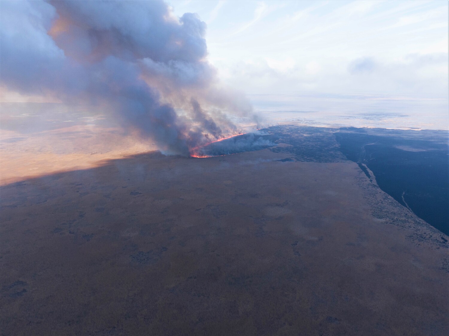 тростник 2 Природные пожары в астраханском биосферном заповеднике удалось ликвидировать лишь через 10 дней