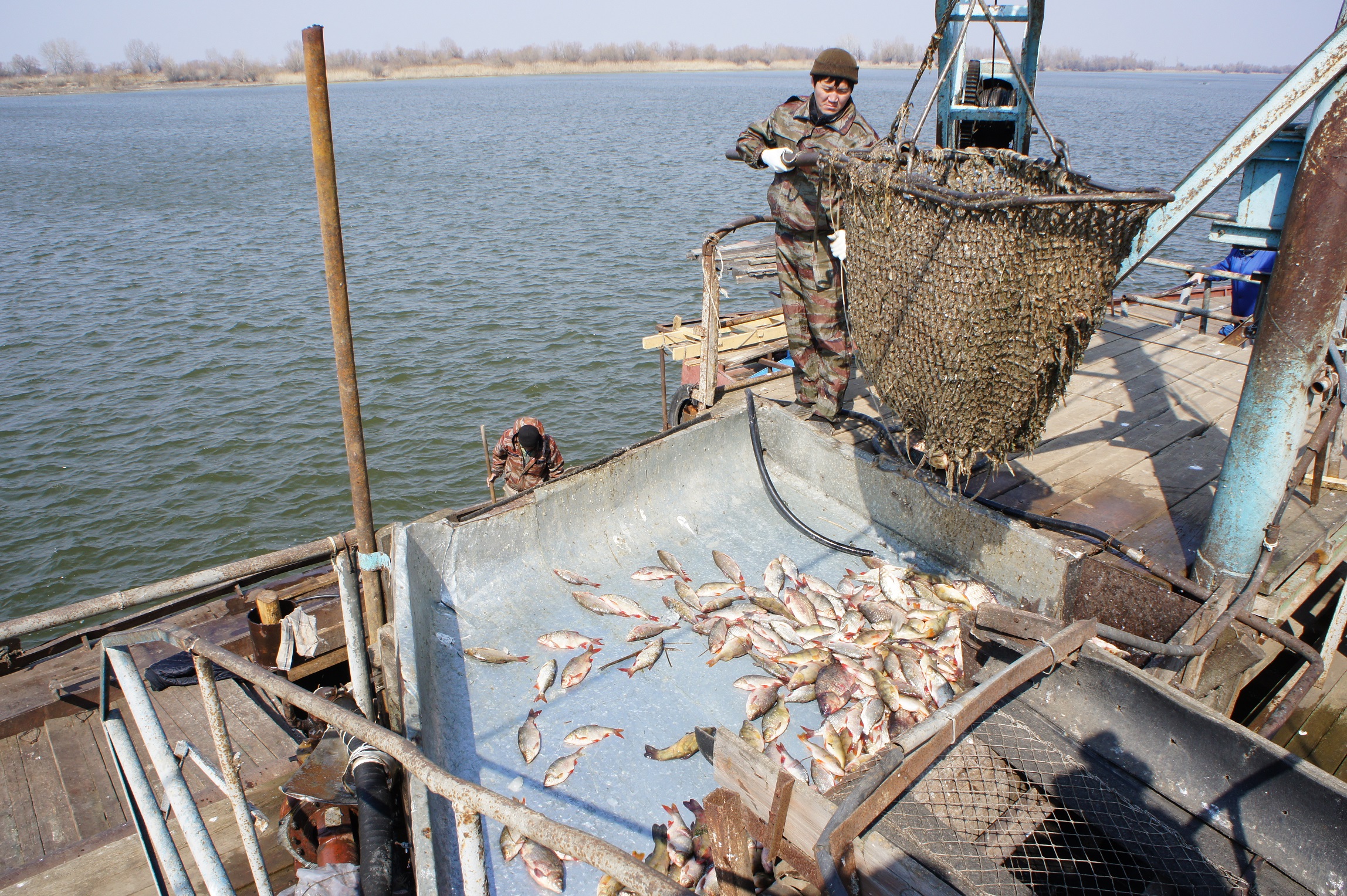 Промышленное рыболовство в Астрахани