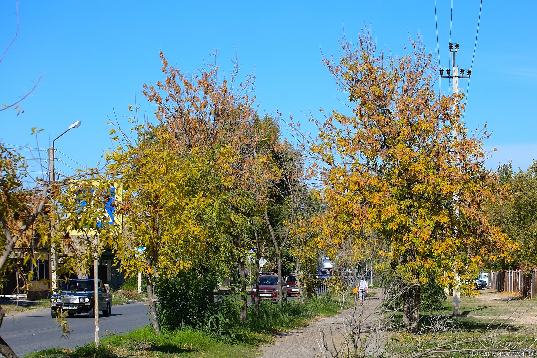 осень в Астрахани
