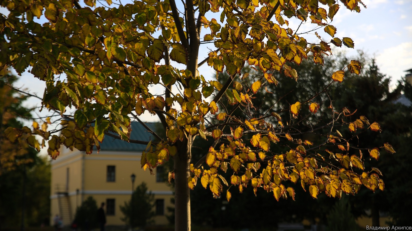 осень в Астрахани