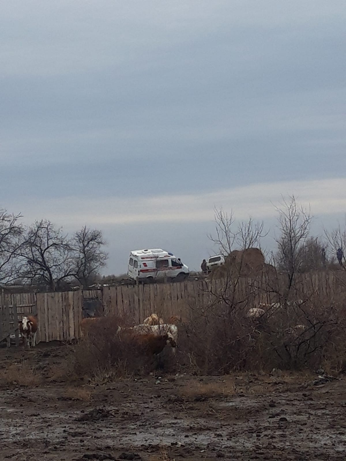 В астраханском поселке машина скорой помощи попала в ЧП