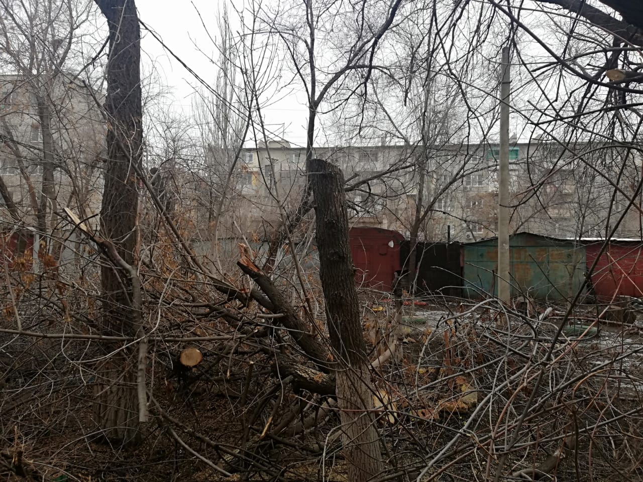 опиловка деревьев в Астрахани