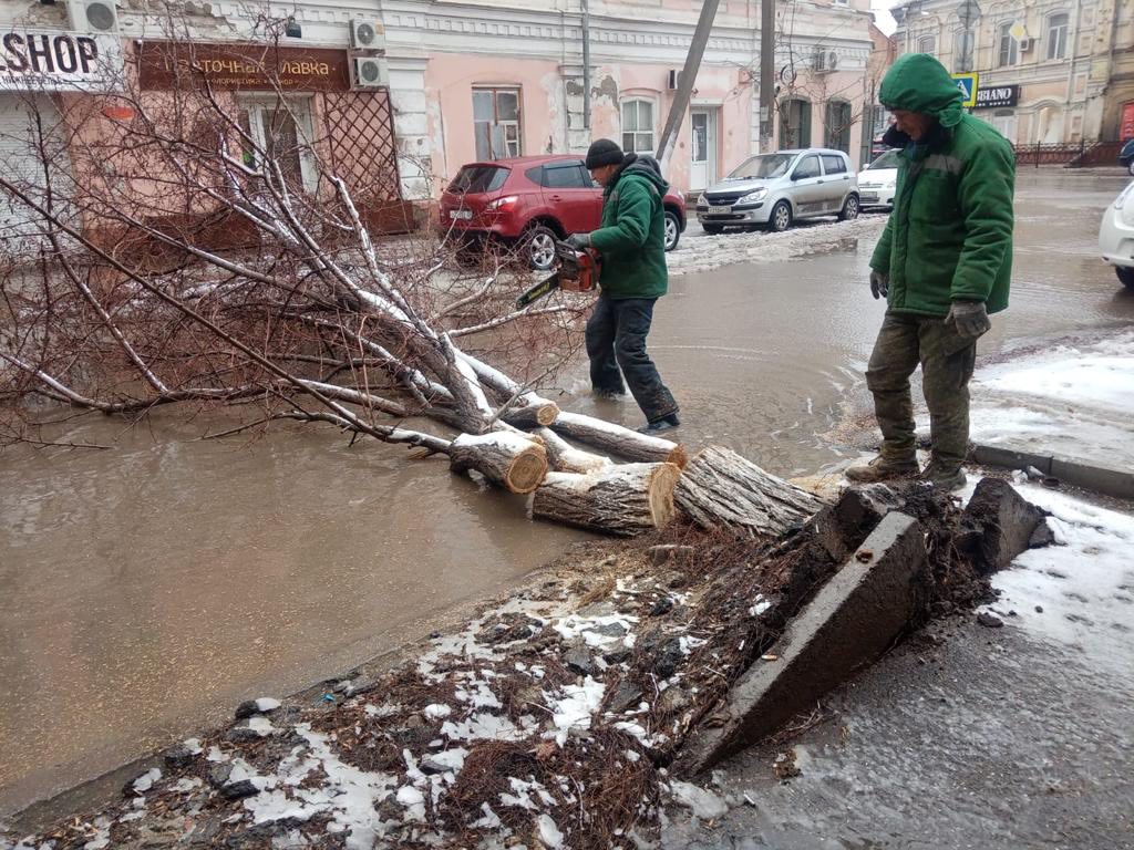 Ураган в Астрахани «запустил» массовый деревопад | 05.03.2022 | Астрахань -  БезФормата