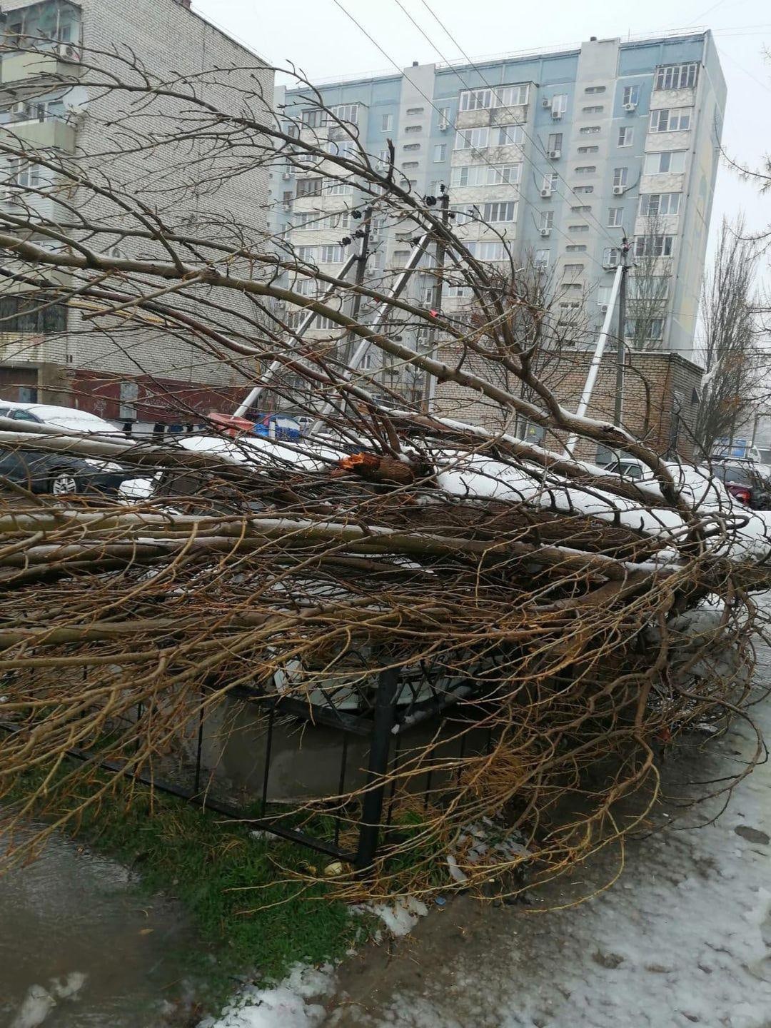 2 1 Ураган в Астрахани «запустил» массовый деревопад
