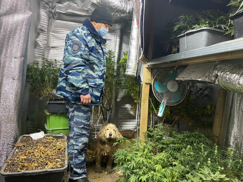 наркотики в Астрахани
