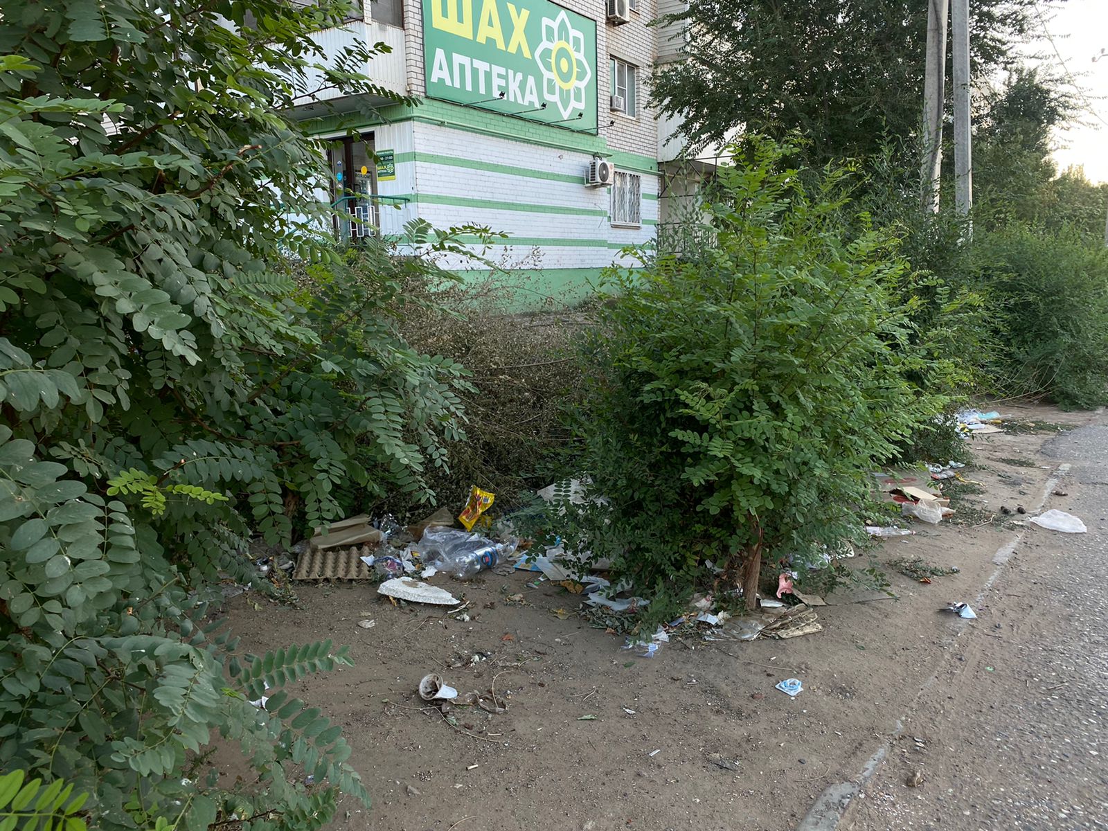 WhatsApp Image 2022 08 29 at 11.28.22 Астраханка сняла видео, как её район превратился в мусорный полигон