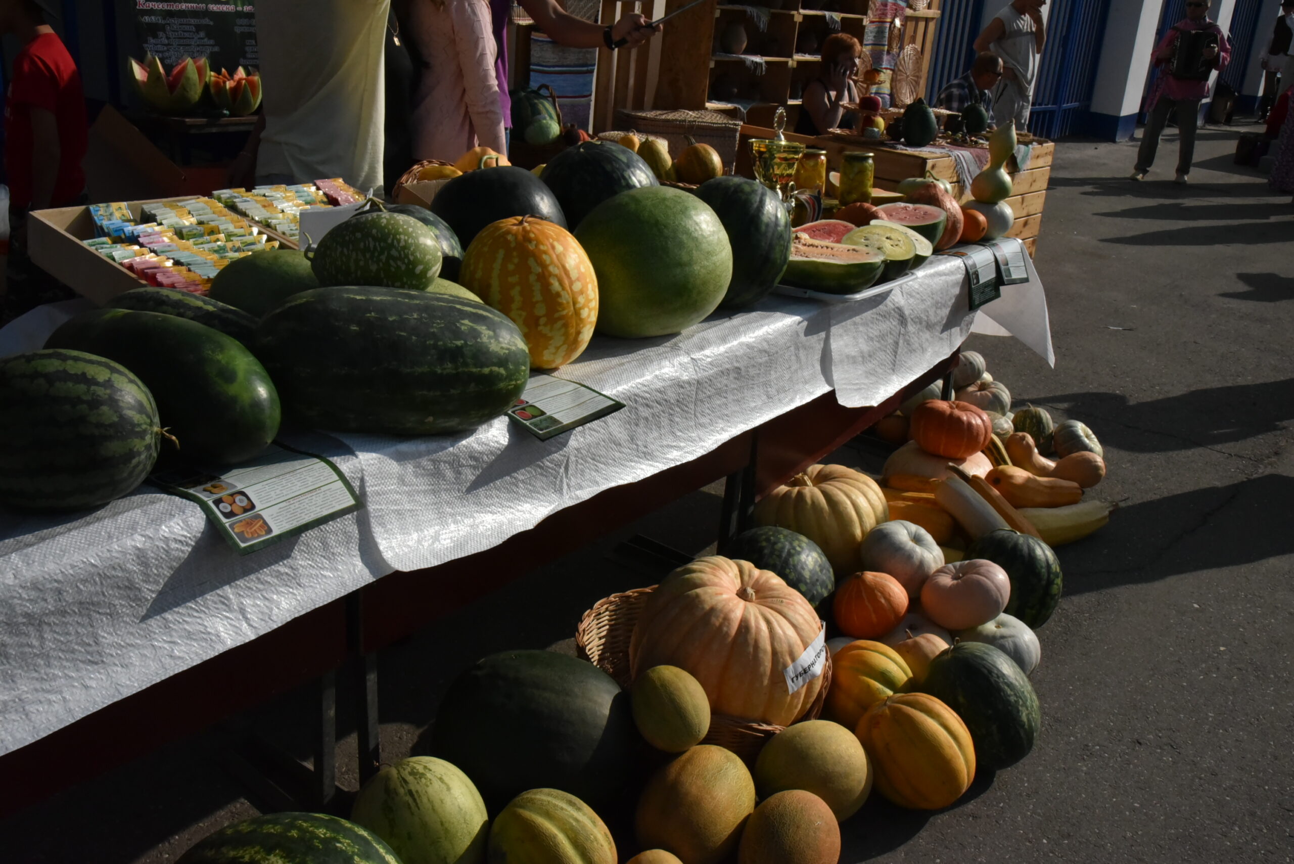 Ярмарка астрахань. Мкр бабаевского астрахань. Сельхоз ярмарка. Сельхоз ярмарка в астрахани в апреле 2024. Большая ярмарка.