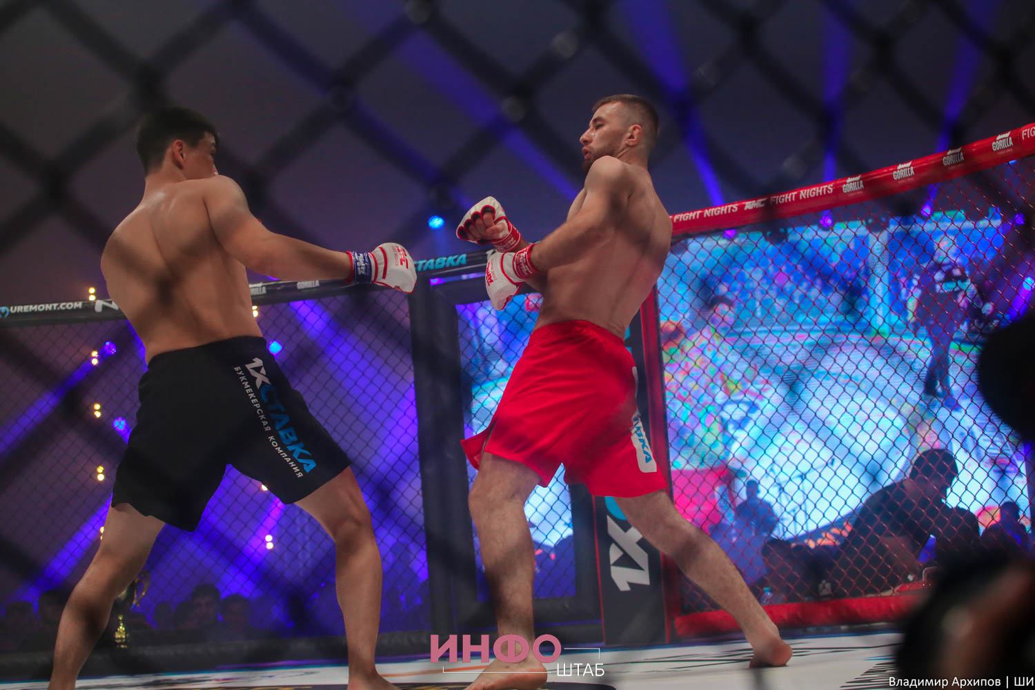 Fight night амс 102. Шорты амс файт найт. Amc файт найтс сочи. Амс турнир. Главный в файт найт.