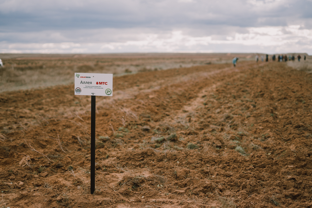 DSC08510 МТС бросила вызов опустыниванию земель в Астраханской области