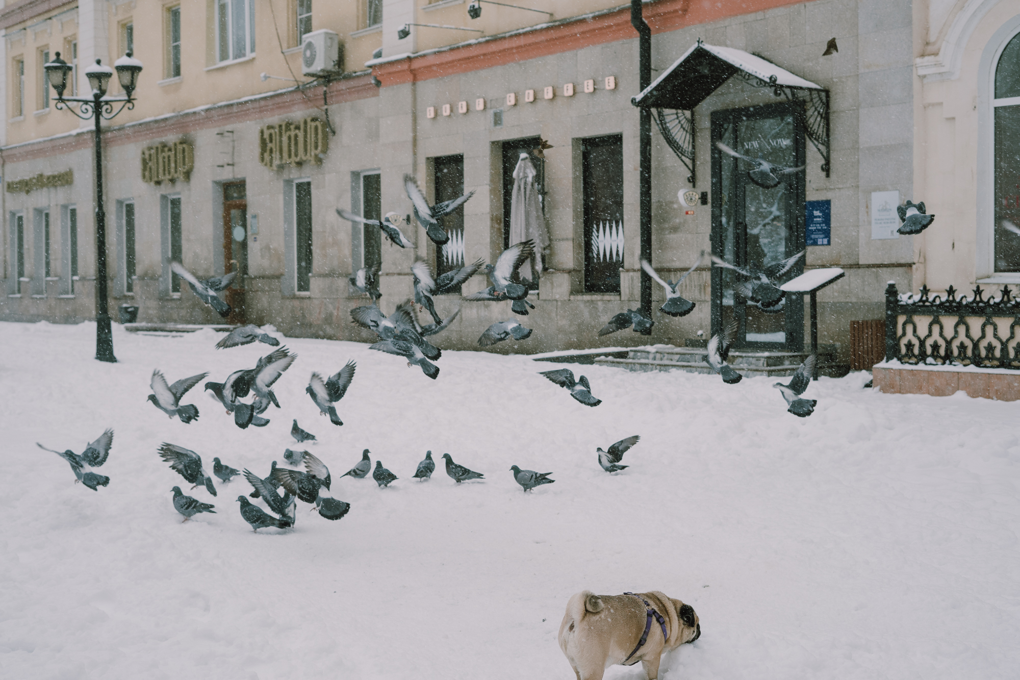 снег в Астрахани