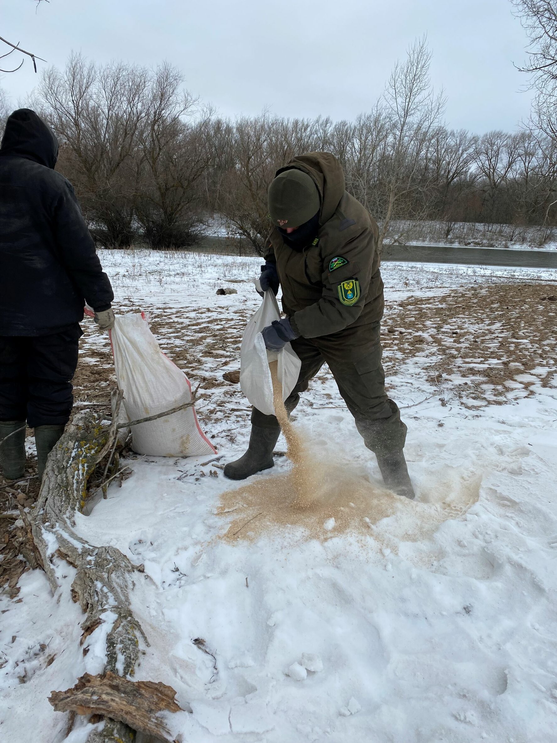 IMG 5648 rotated Астраханские инспекторы подкармливают диких животных