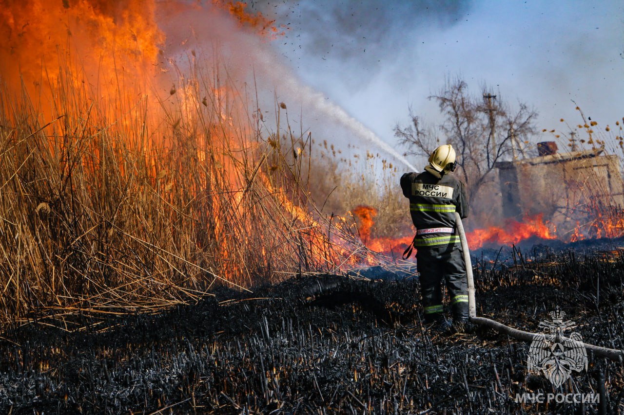 В Астрахани горел камыш на площади в 500 кв. метров | 23.03.2023 |  Астрахань - БезФормата