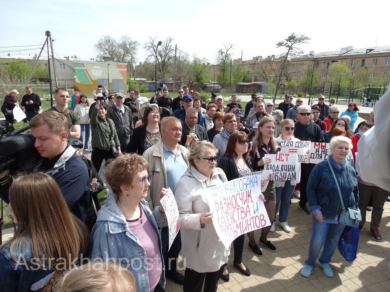 Астраханцы в третий раз вышли на митинг против бродячих собак | 09.04.2023  | Астрахань - БезФормата