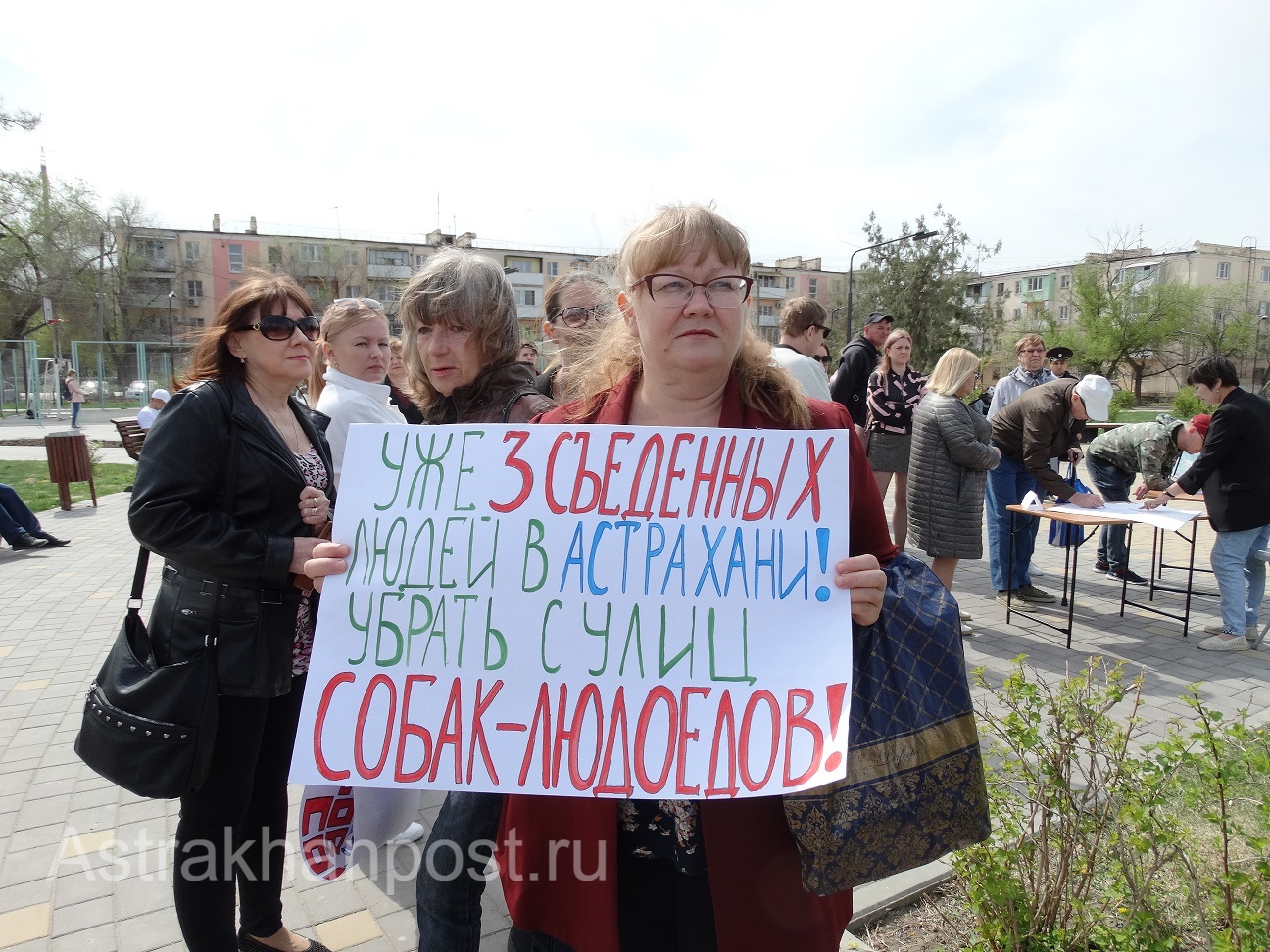 митинг против бродячих собак в Астрахани