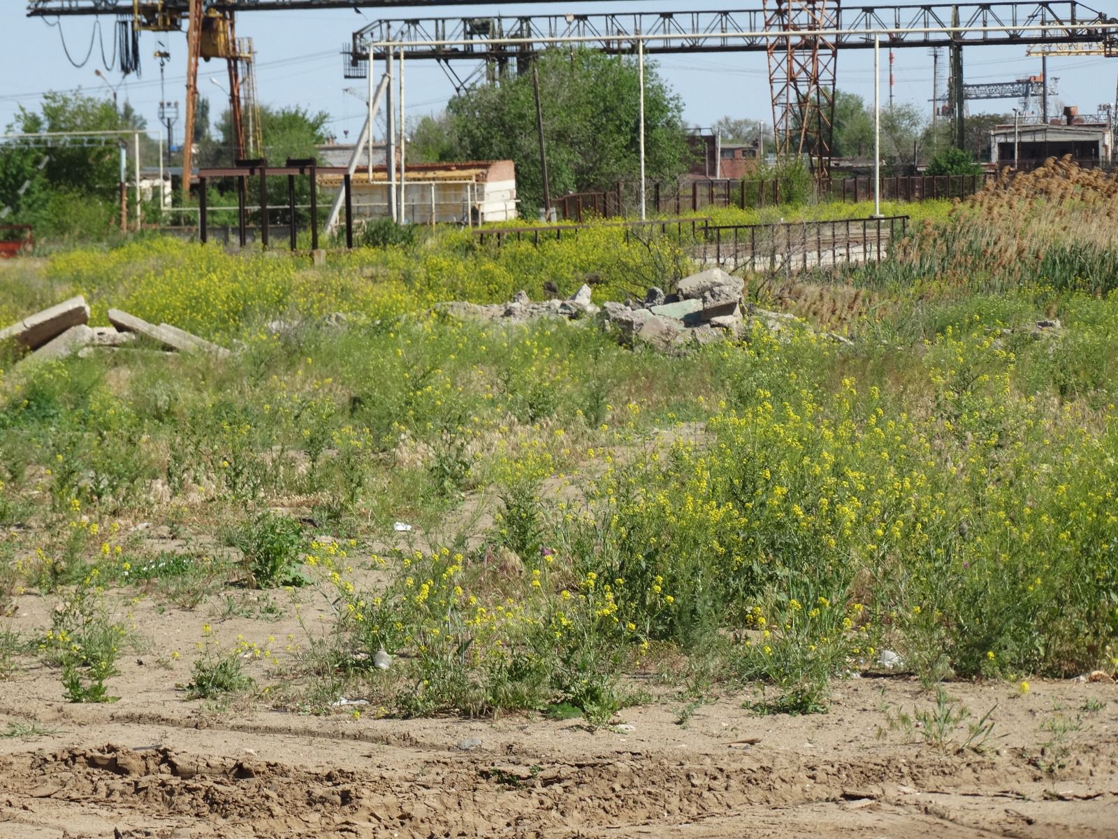 загрязнение почвы в Астрахани