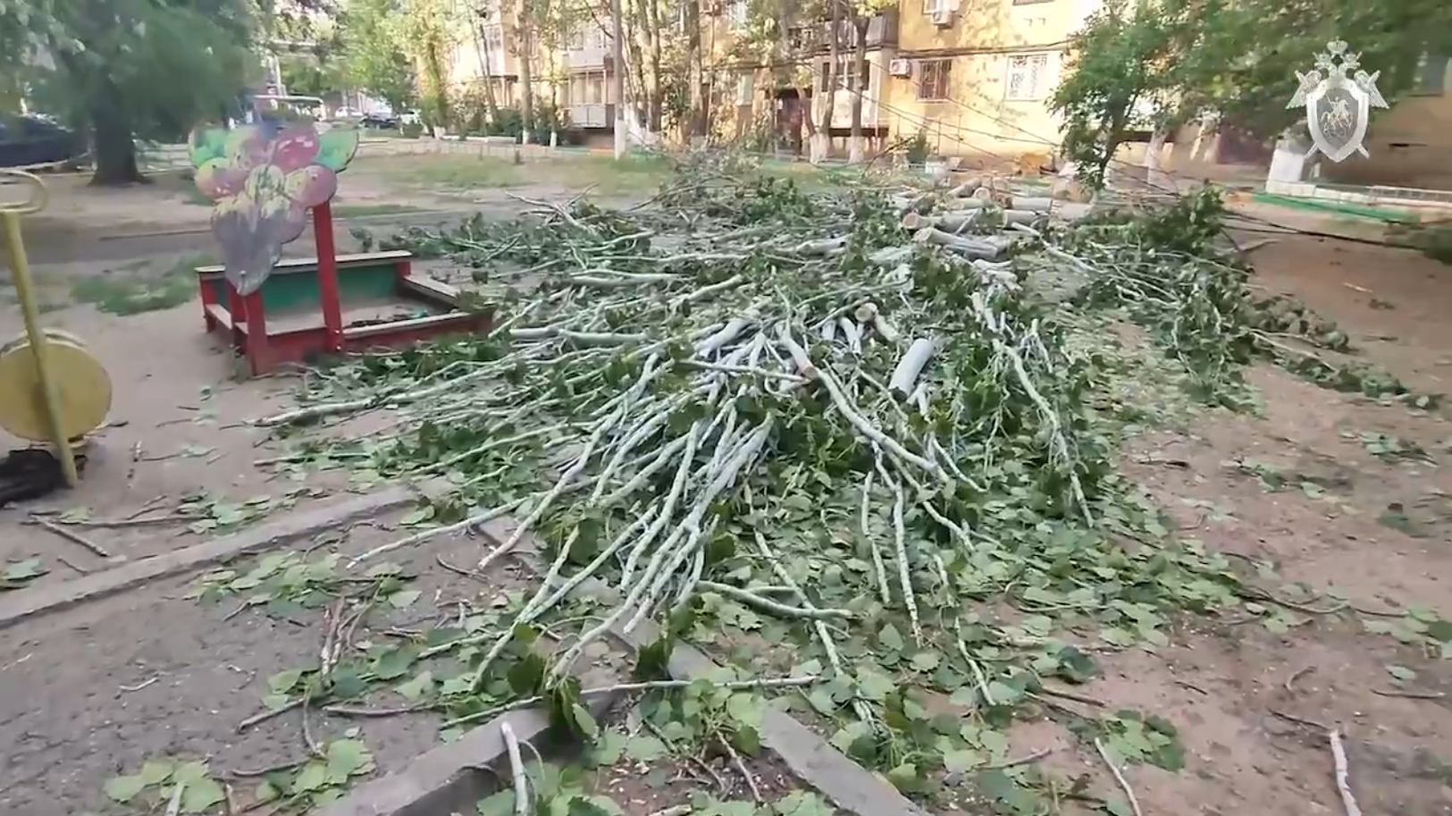 В Астрахани семилетняя девочка погибла из-за упавшего дерева | 01.05.2024 |  Астрахань - БезФормата